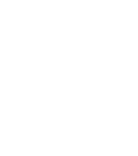 Trizzi